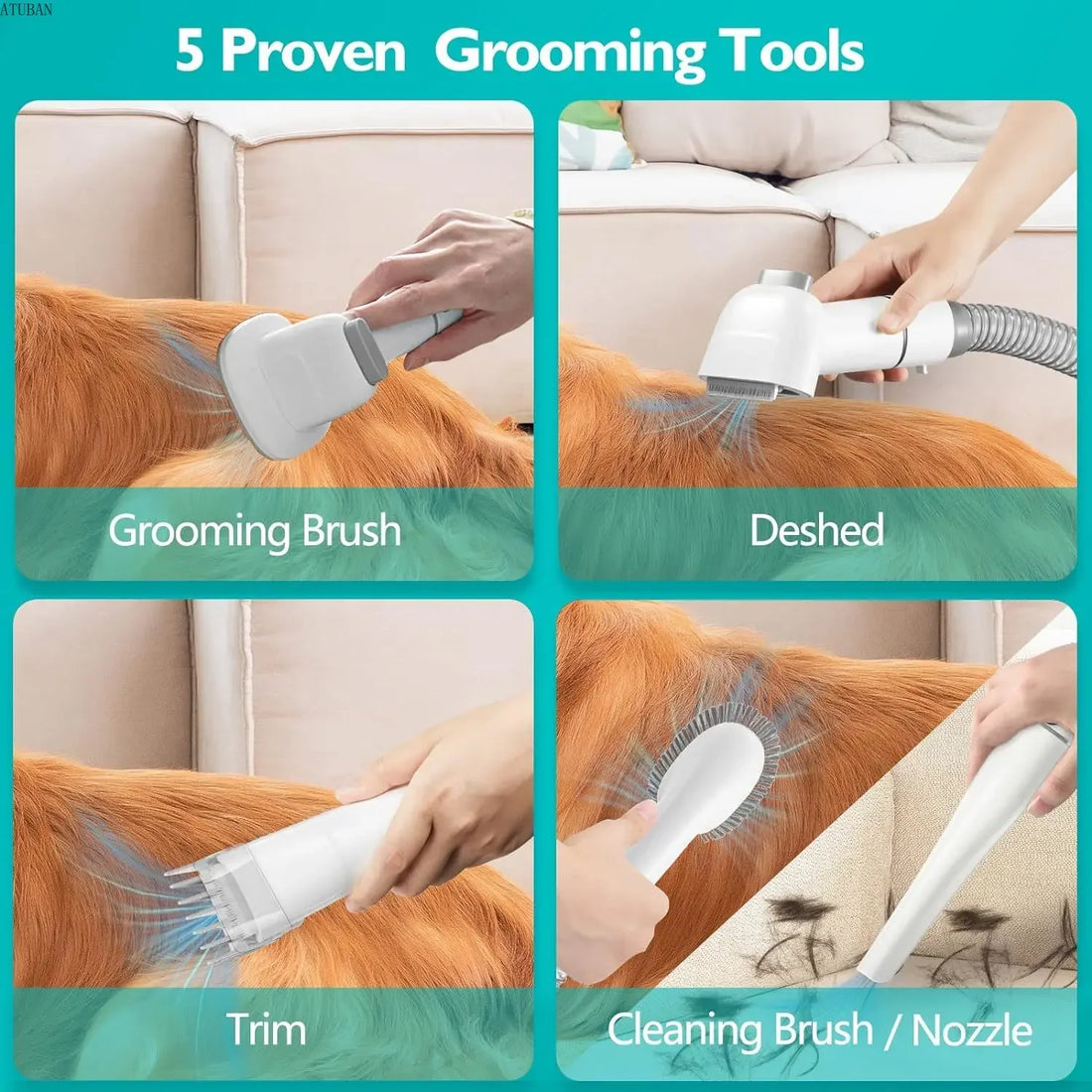 Saashi Pet Grooming Vacuum Kit